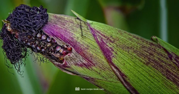 Creamed Corn Side Dish - Best Recipe Book