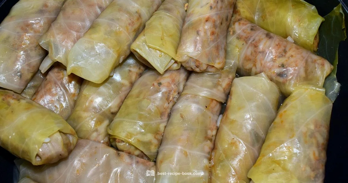 Golabki Guide Golabki Guide - Best Recipe Book