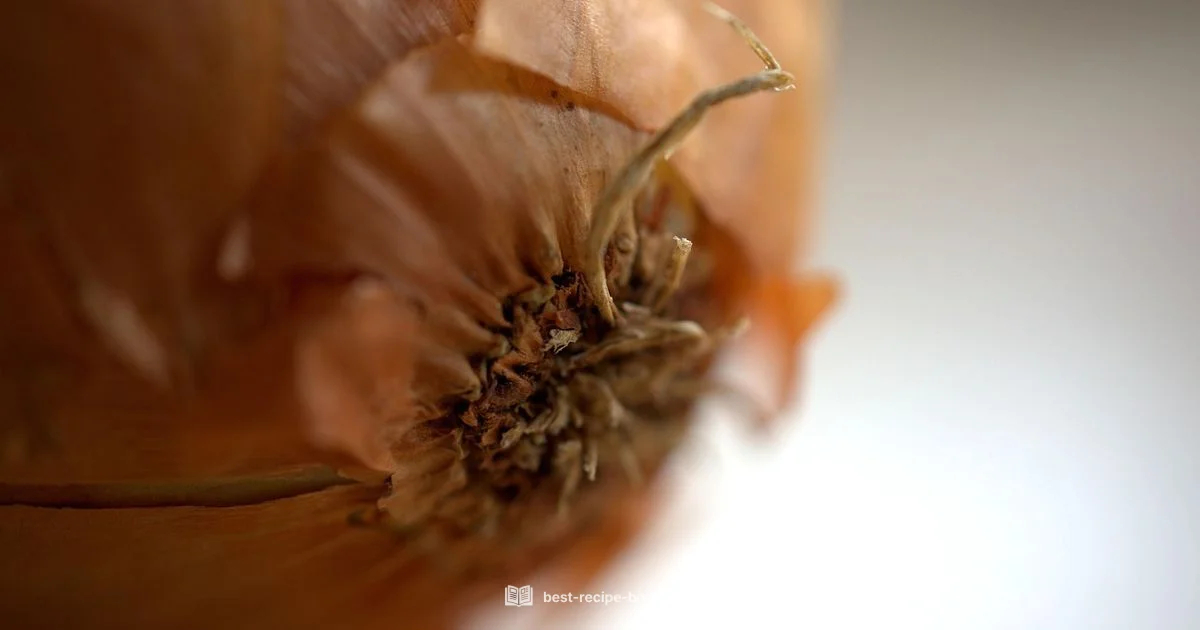 Vegan Meals Defined Vegan Meals Defined - Best Recipe Book