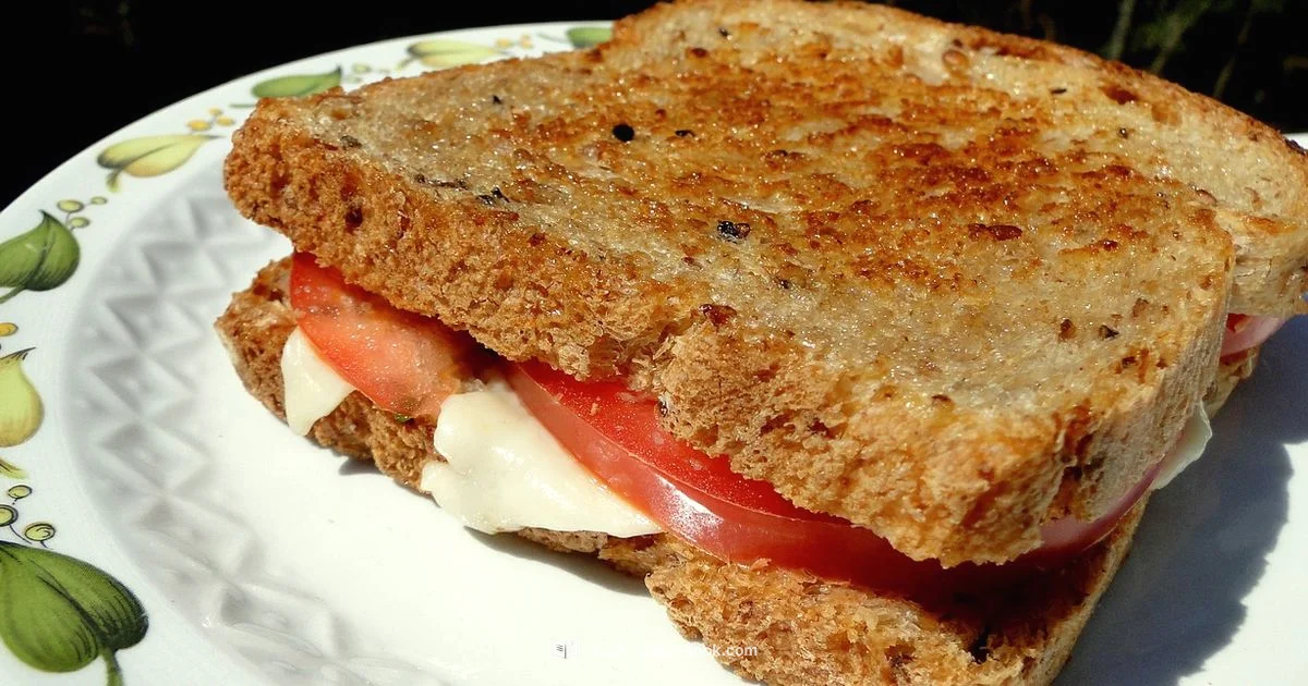 Classic Grilled Cheese - Best Recipe Book