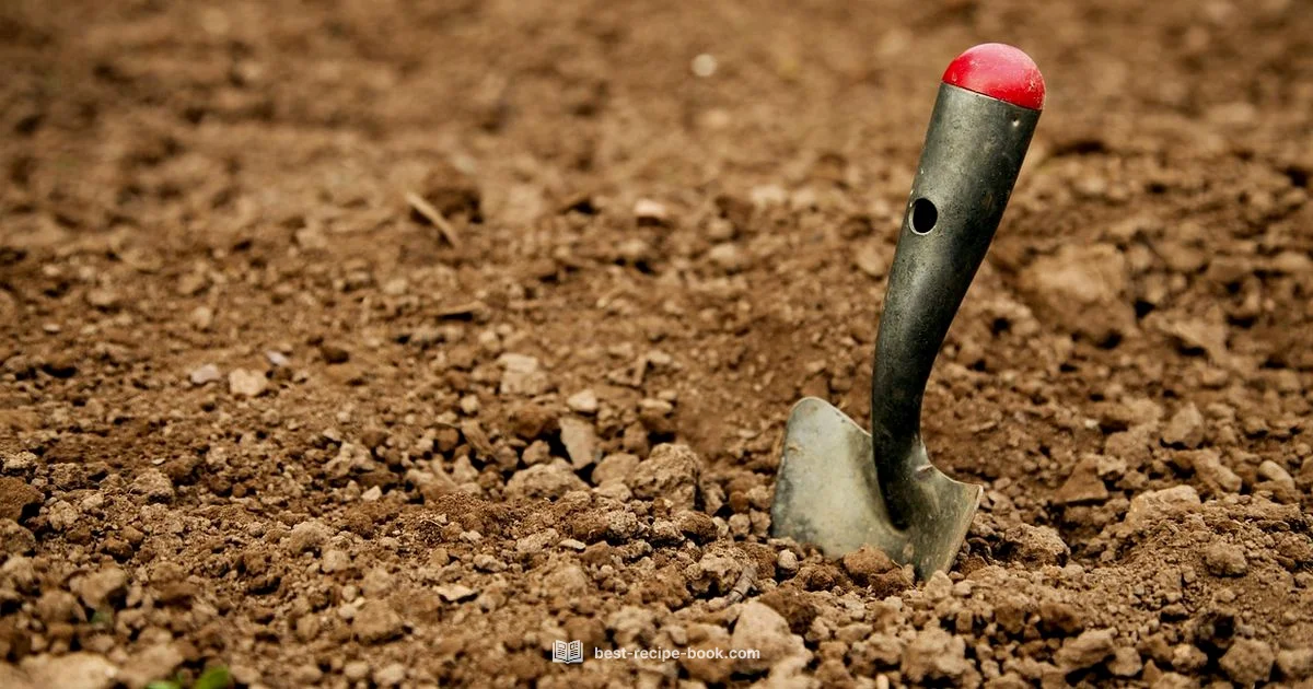 Shovel Recipe - Best Recipe Book