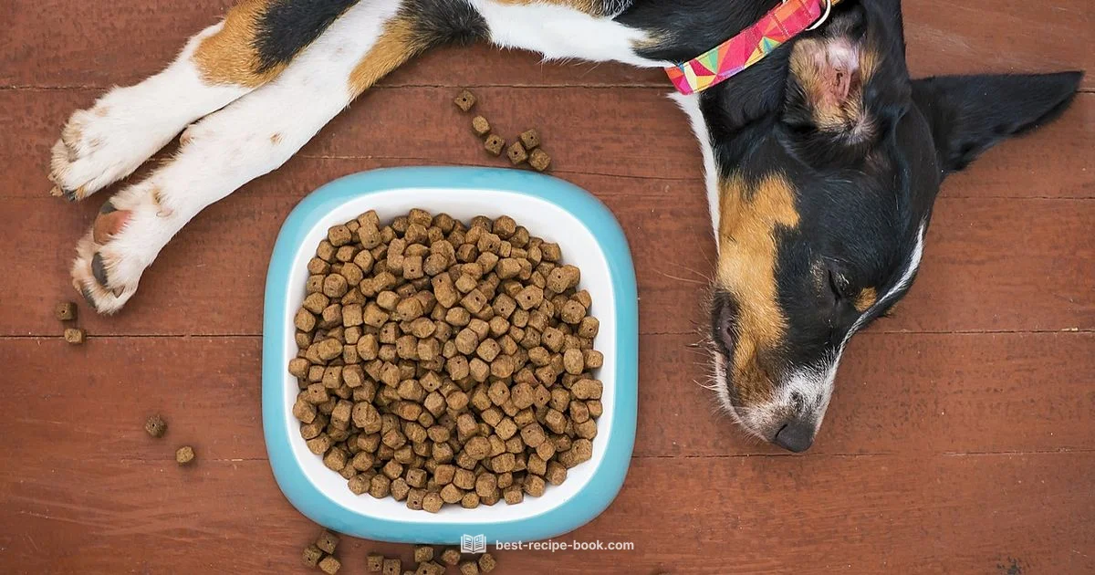 DIY Dog Food - Best Recipe Book