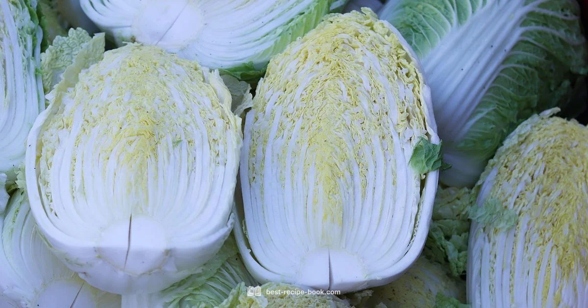 Dressing Coleslaw Mastery - Best Recipe Book