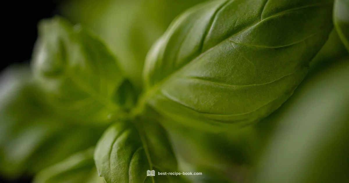 Ingredients vs Recipe - Best Recipe Book