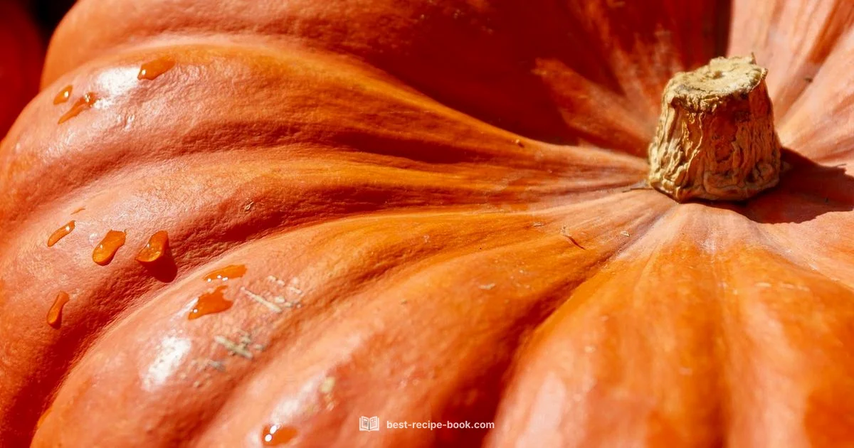 Pumpkin Bars Guide - Best Recipe Book