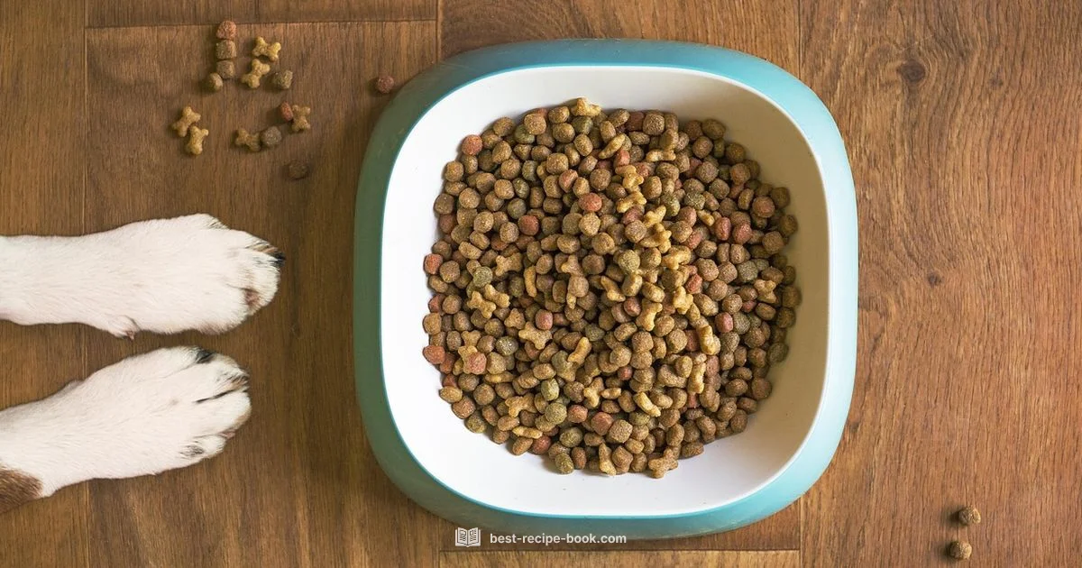 Dog Treats Guide - Best Recipe Book