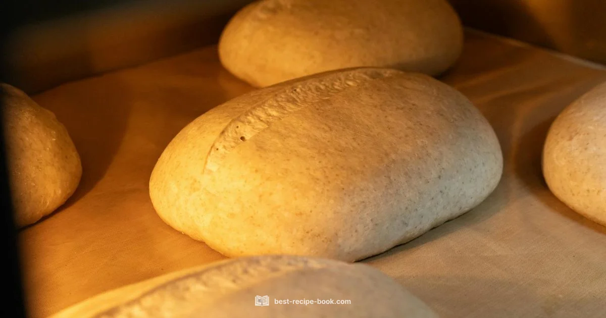 Wheat Bread Recipe - Best Recipe Book