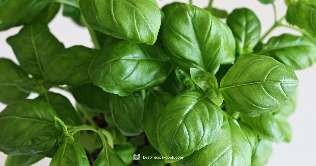 Basil Recipe Ideas - Best Recipe Book