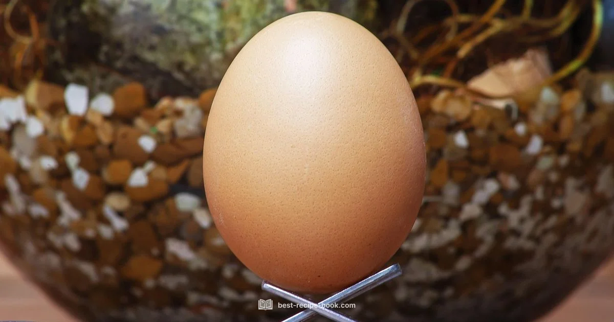 Egg Recipe Classics - Best Recipe Book