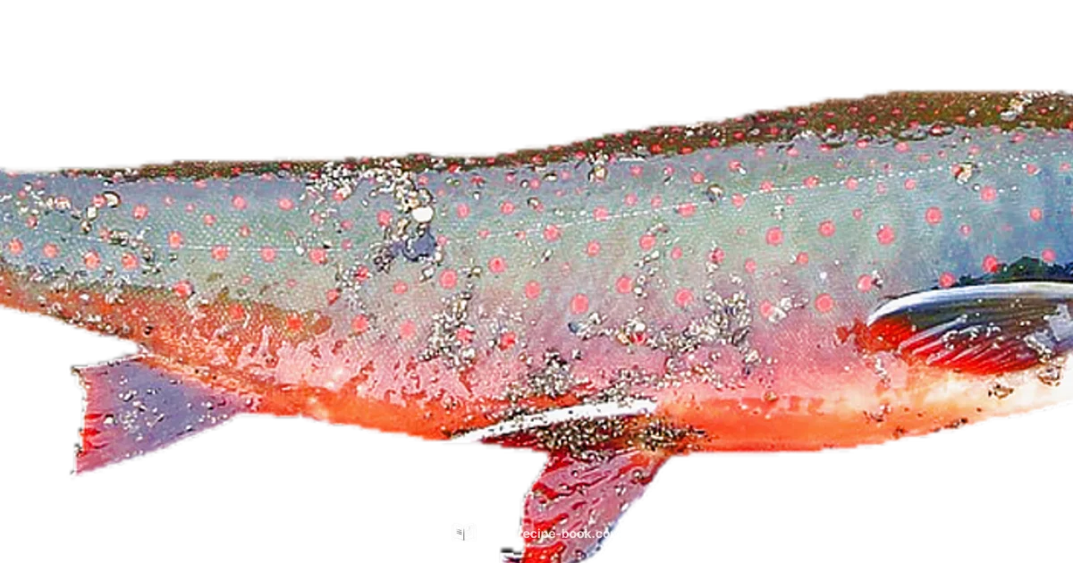 Salmon in Minutes - Best Recipe Book